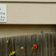Illustration for article titled George Tillers Former Abortion Clinic Will Reopen, Dammit